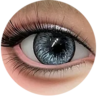 25.webp
